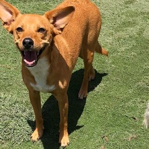 Meet your Posher, Danielle